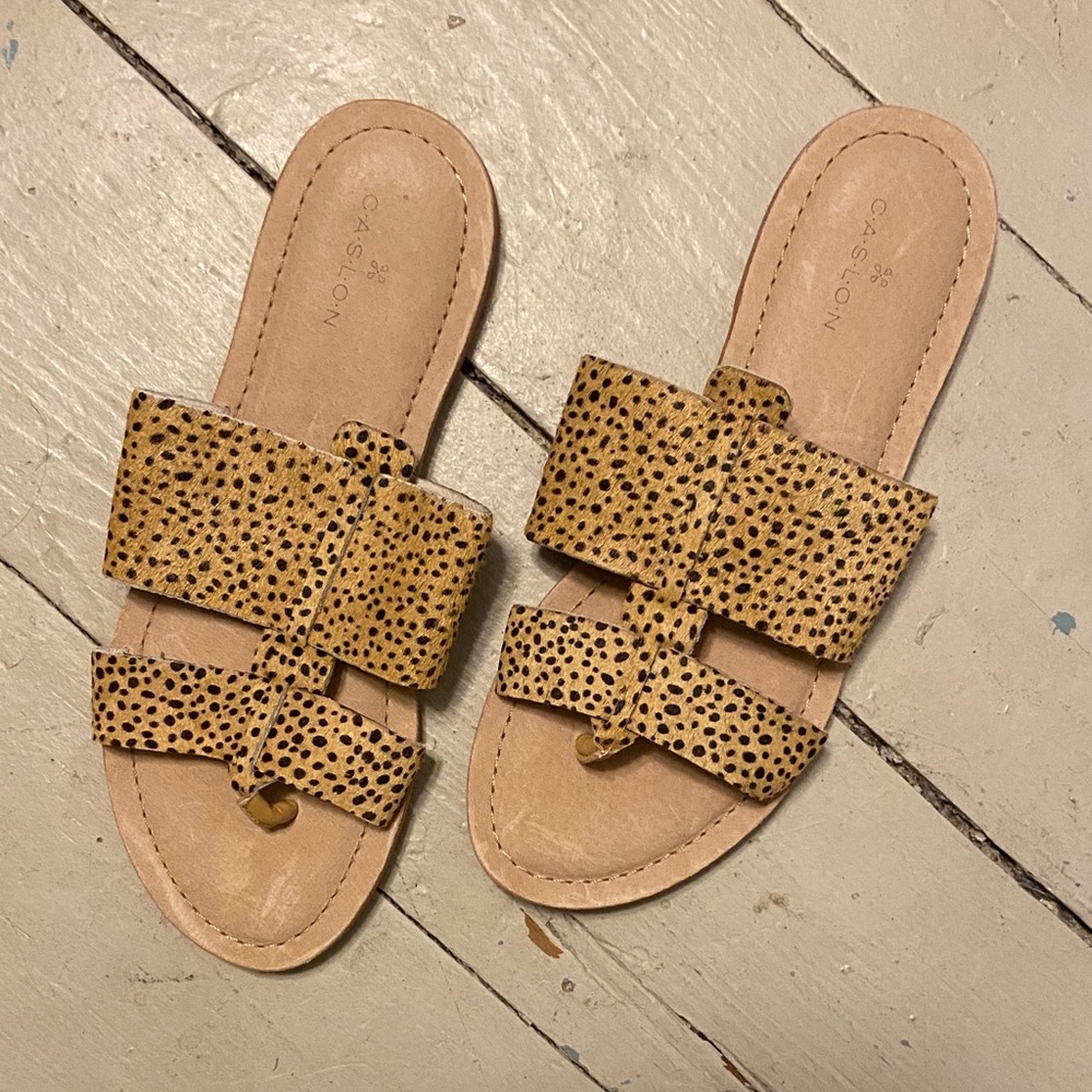 Caslon Brown Spotted Women's Sandals